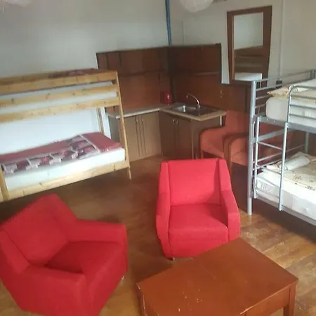 Frantic Monkey I Orjongo Majom Hostel